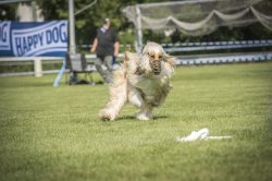 dsc_1439