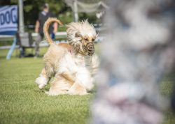 dsc_1440