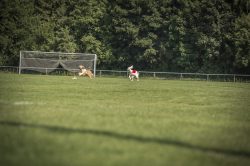 dsc_1459-2