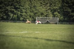 dsc_1460