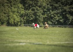 dsc_1462