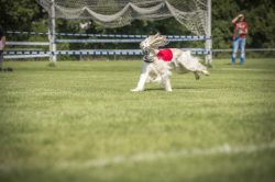 dsc_1472