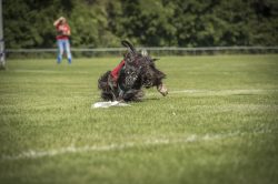 dsc_1500