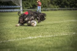 dsc_1502-2