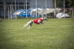dsc_1552