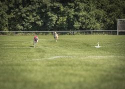 dsc_1559-2