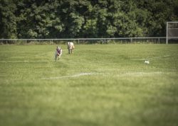 dsc_1560-2