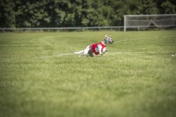 dsc_1563-2