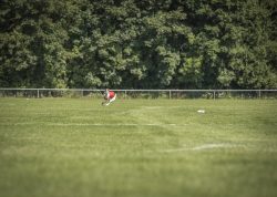 dsc_1580