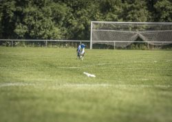 dsc_1582
