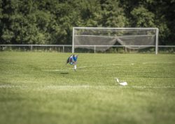 dsc_1584