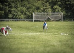 dsc_1586-2