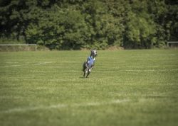 dsc_1614