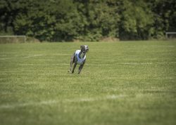 dsc_1615