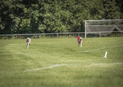 dsc_1648-2