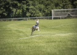 dsc_1651-2