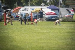dsc_1667-2