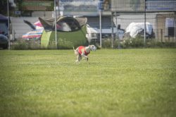 dsc_1669-2