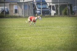 dsc_1670