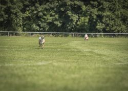 dsc_1679-2