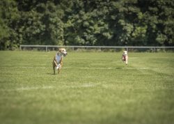 dsc_1680