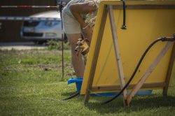 dsc_1694