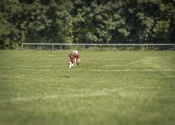 dsc_1708