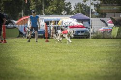 dsc_1777