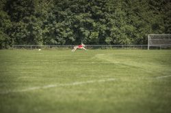 dsc_1783-2