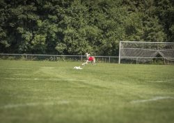 dsc_1784-2