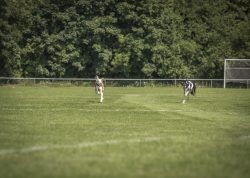 dsc_1786-2