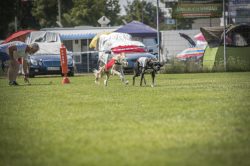 dsc_1813-2