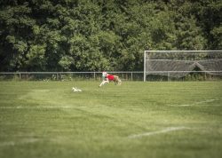 dsc_1821-2