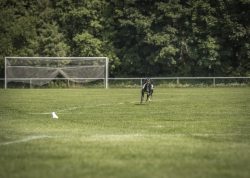 dsc_1823-3