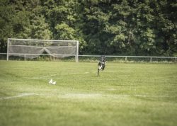 dsc_1824-2