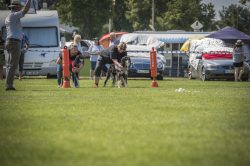 dsc_1856-3