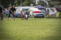 dsc_1857-3