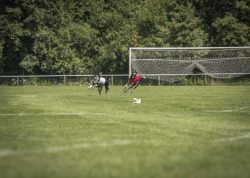 dsc_1865-3