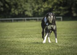 dsc_1877