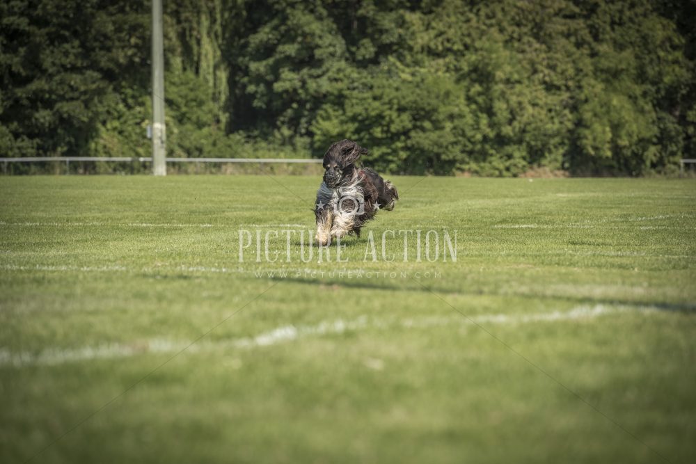 dsc_1498