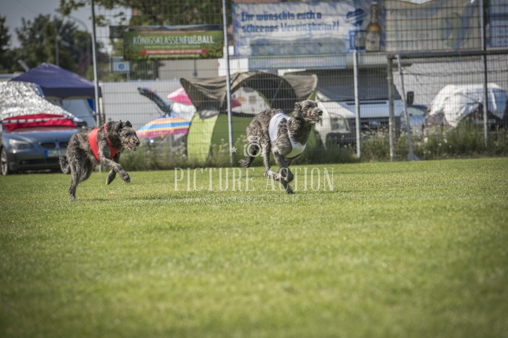 dsc_1515
