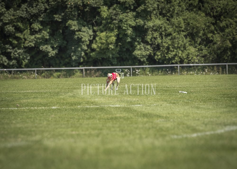 dsc_1706