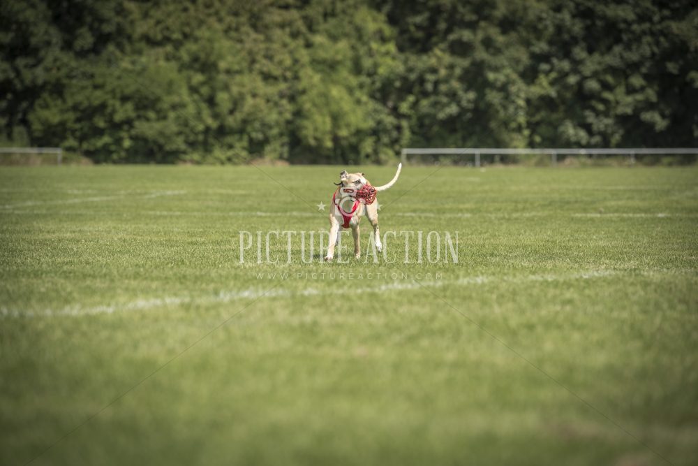 dsc_1709