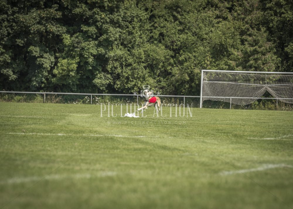 dsc_1784-2