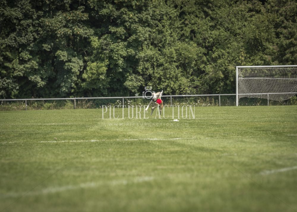 dsc_1785