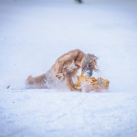 Schneecoursing Stubaital 2016 Samstag